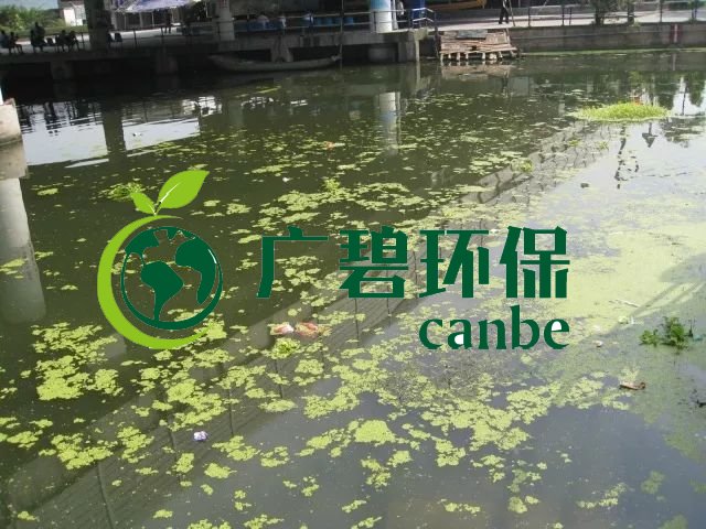 城市黑臭河道如何治理？河道黑臭水體治理思路(圖3)