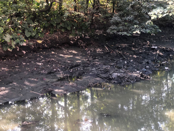 總結(jié)河道治理誤區(qū)，道明今后治理方向