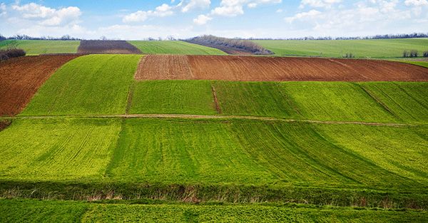 土壤侵蝕是什么？什么導致了土壤侵蝕？(圖1)