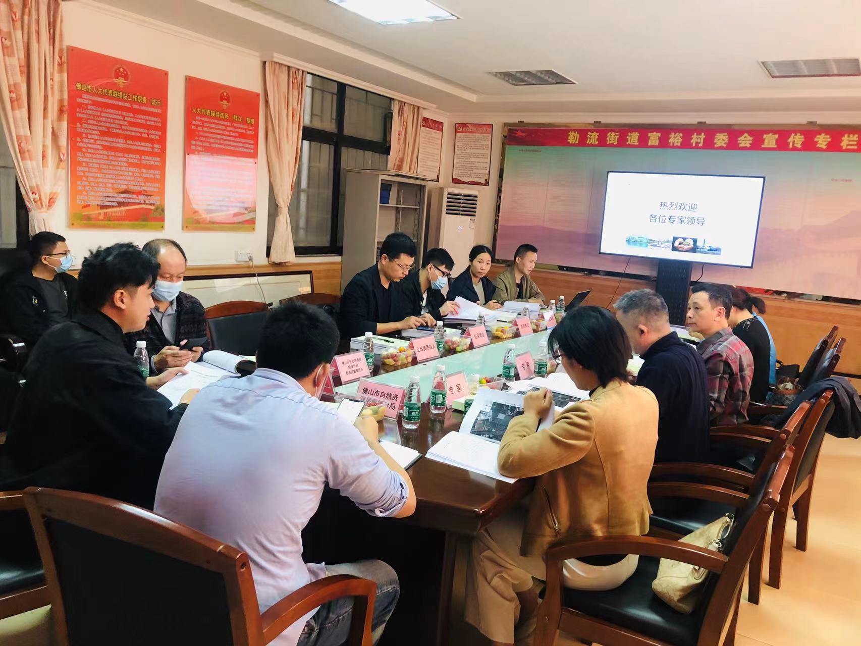 廣碧環保《勒流街道南國西路以南、龍海路以西地塊土壤污染狀況初步調查報告》通過專家評審會